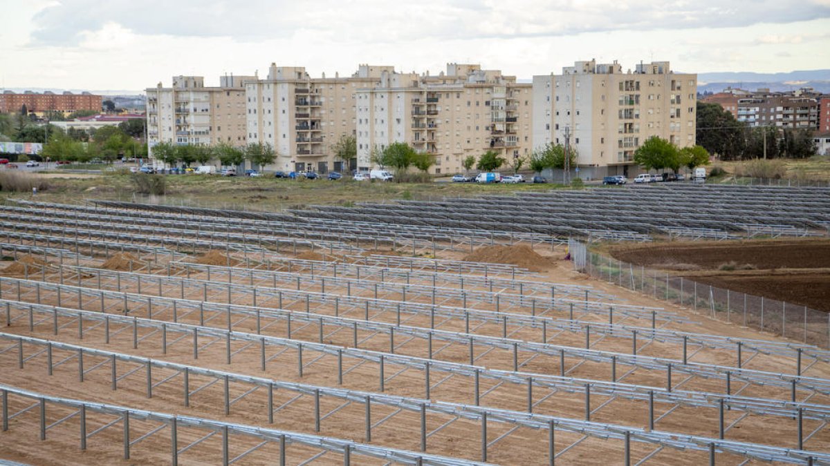 Els panells del parc solar més gran de la capital que ja s’han instal·lat.