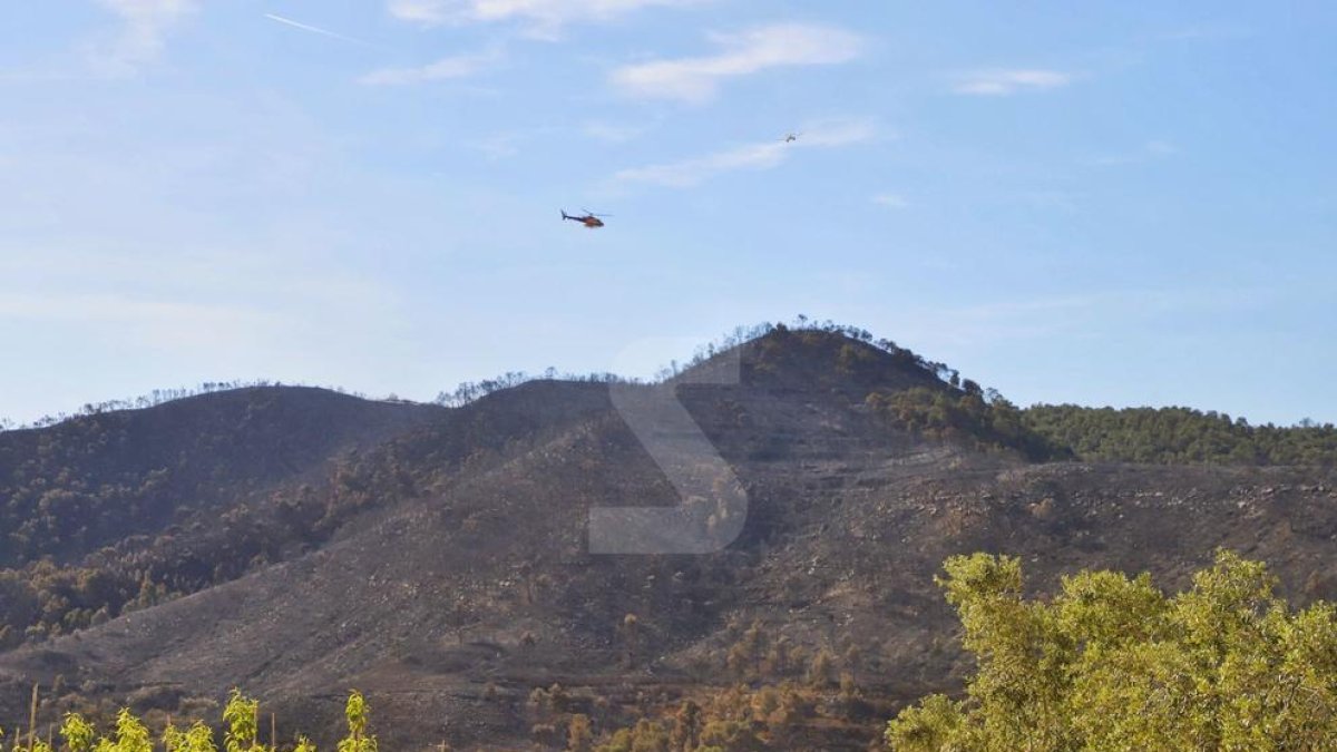 Zona cremada per l'incendi aquest diumenge al Segrià.