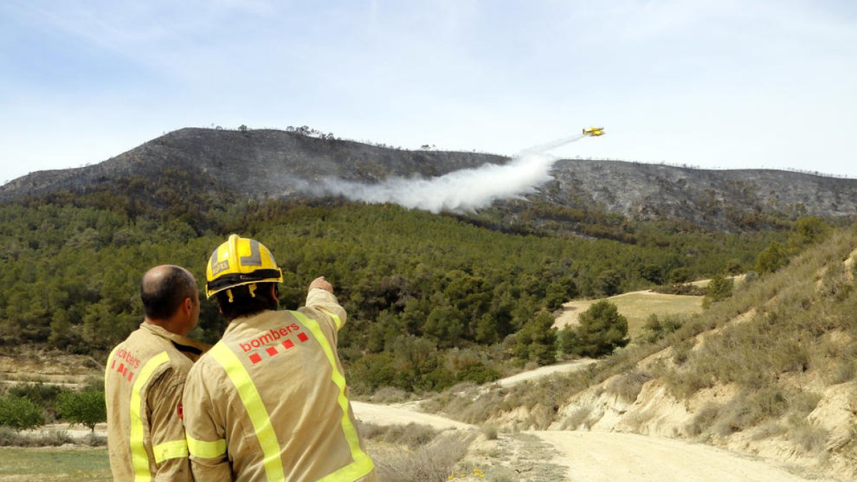 Agentes Rurales cifran en 453 las hectáreas afectadas por el incendio de la Franja