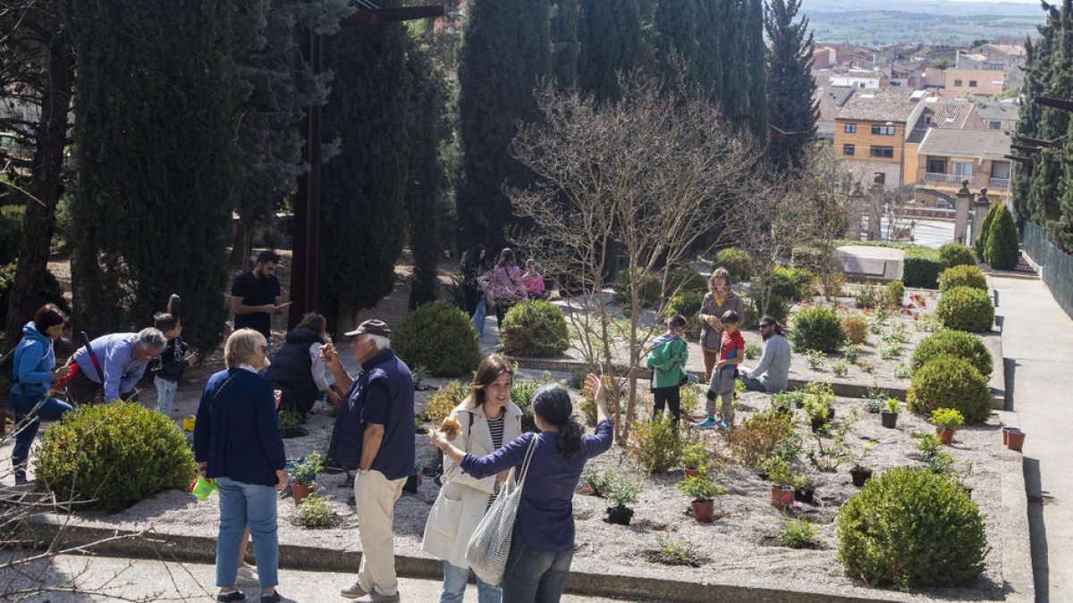 Algunas de las 120 personas que ayer plantaron rosales en el paseo de la Font del Congrés. 