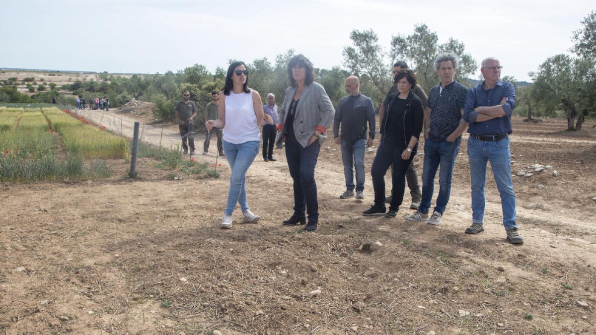 La consellera Teresa Jordà, en el centro, en su visita a campos arrasados por los conejos en Verdú.