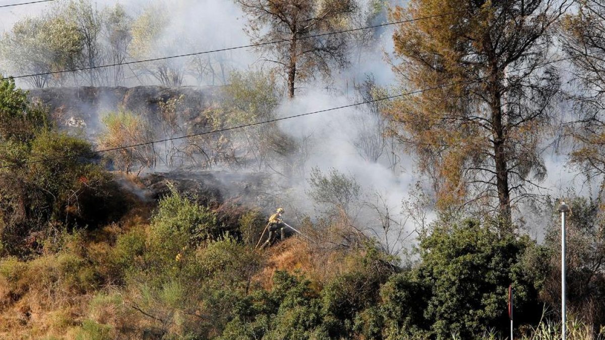 Estabilitzat el foc del Baix Llobregat, que es va iniciar per una radial