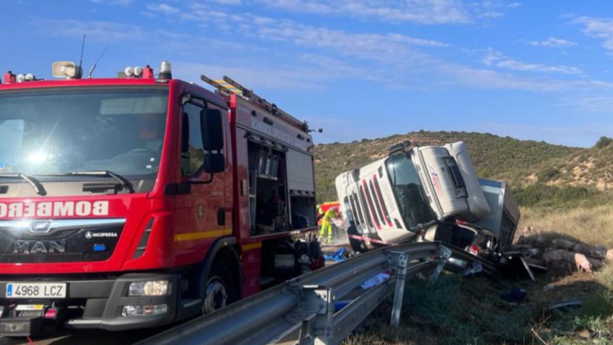 El camión, que transportaba cerdos, volcó y cayó encima del turismo en Mequinensa.