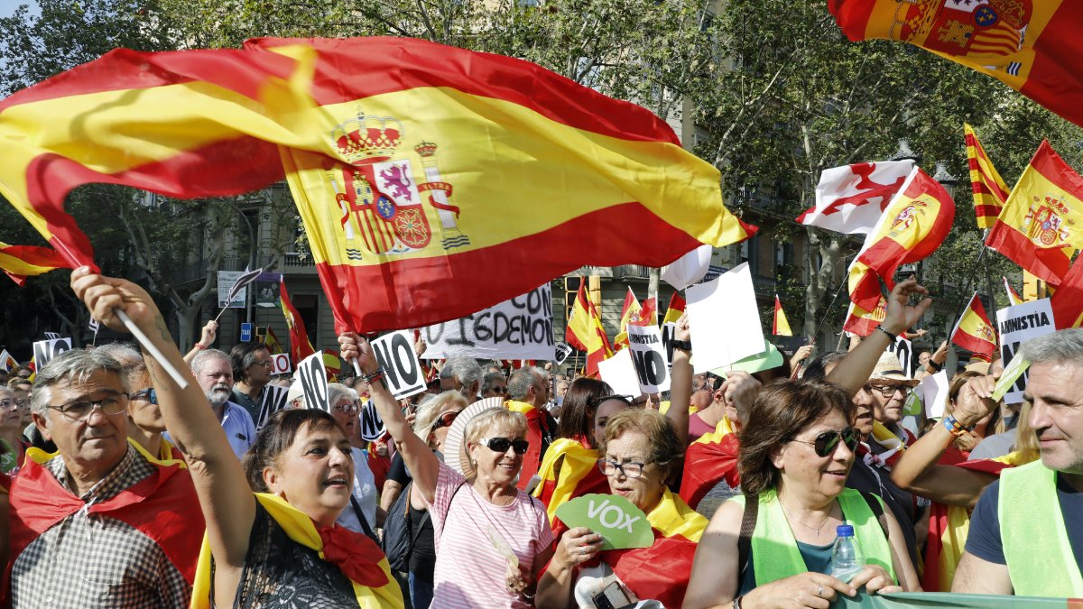 Els manifestants van fer onejar una multitud de banderes espanyoles i també alguna senyera.