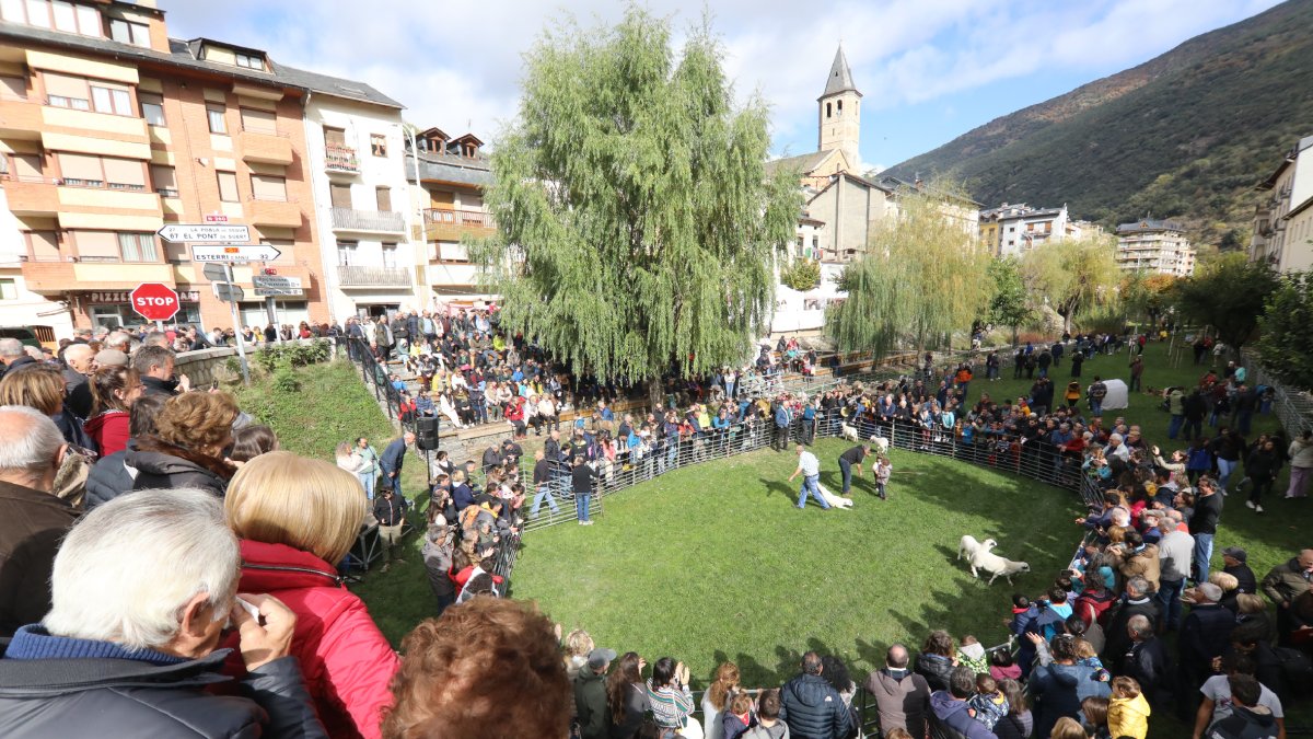 El públic es va congregar al Parc del Riuet durant la 18a mostra de l’ovella xisqueta.