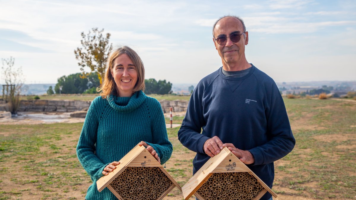 La directora tècnica i el president de l’ADV de Ponent, Laia Viñas i Joan Miret, sostenint dos refugis per a abelles Osmia.