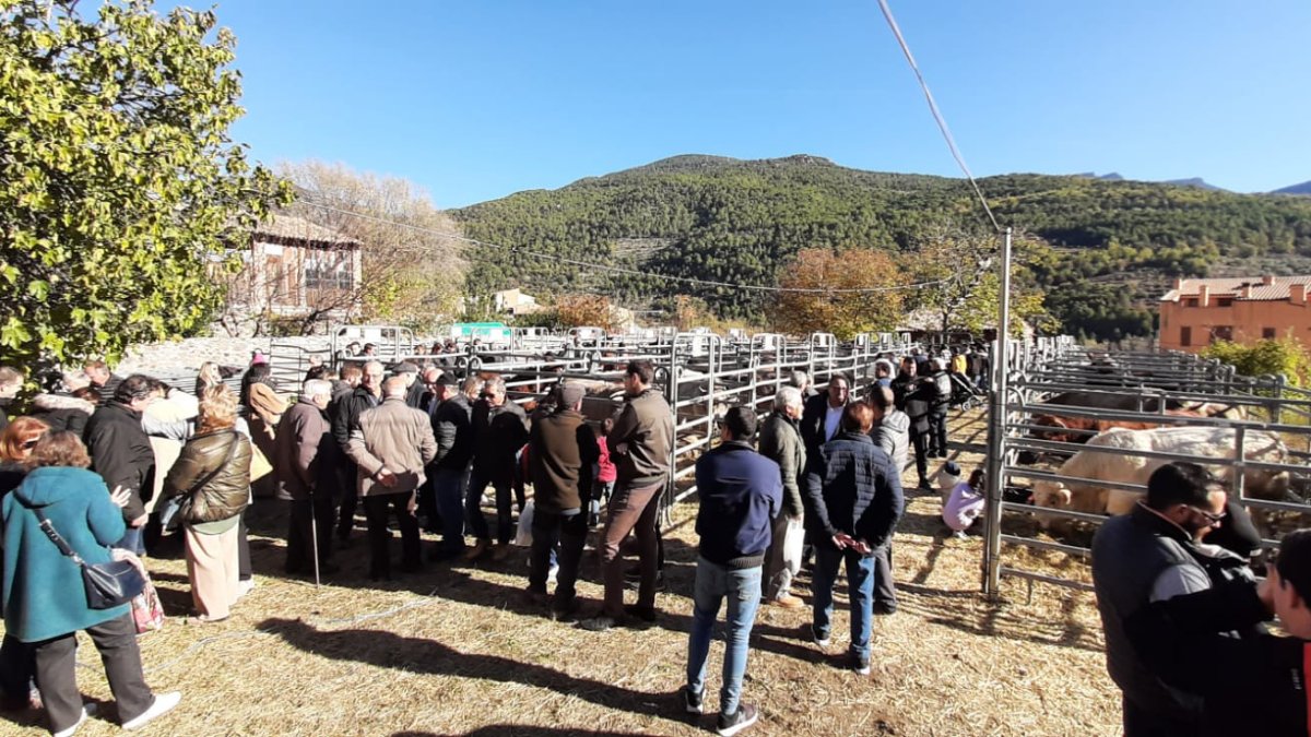 La mostra de bestiar d’Organyà va comptar amb mig centenar d’animals.