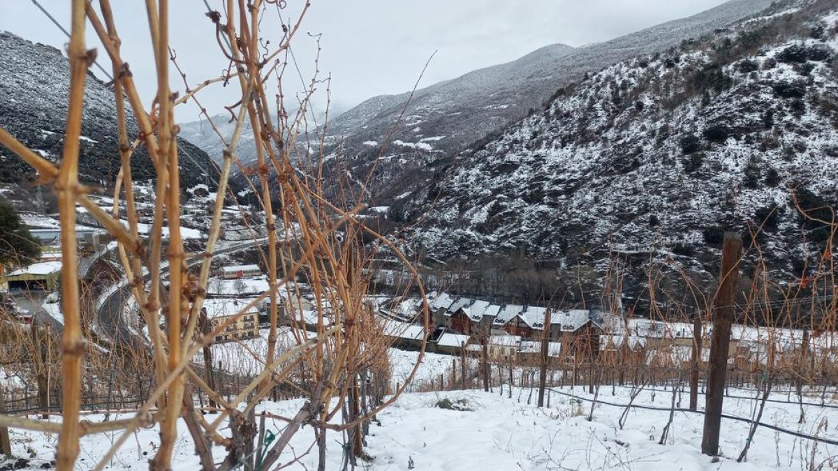 pantà de sant antoni. El projecte Aquoir ha submergit vins del Pallars sota l’aigua per criar-los.