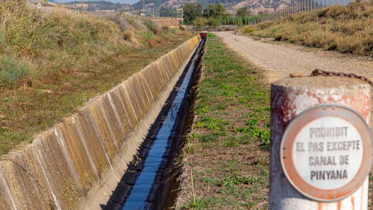 En el cas de Pinyana, la modernització d’aquest nou sector seguirà la de l’Horta, ja inaugurada.