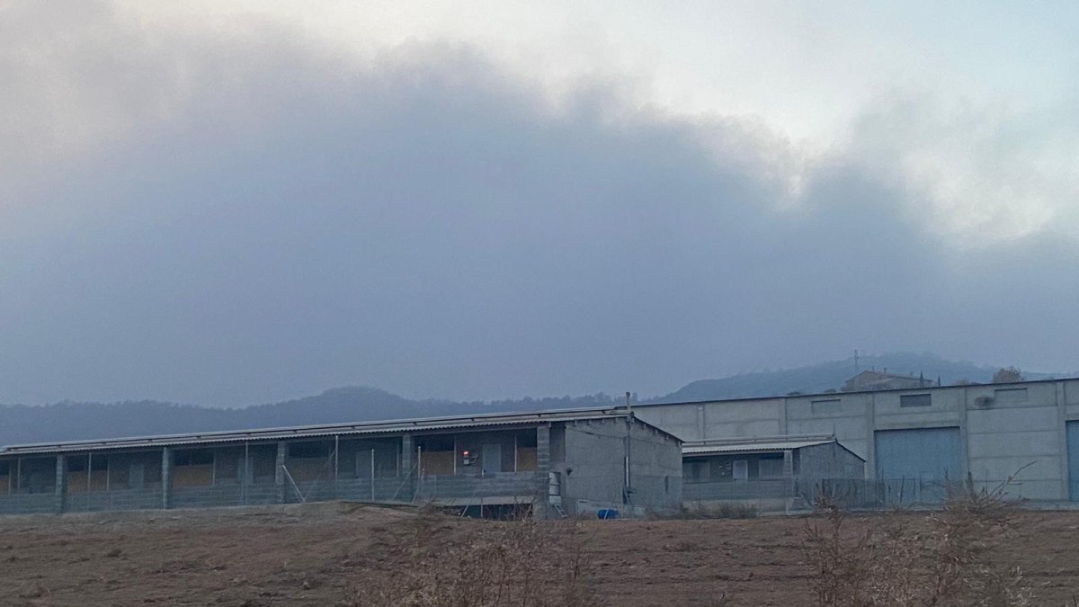 Una granja de bestiar al municipi d’Olius, un dels afectats per les restriccions.