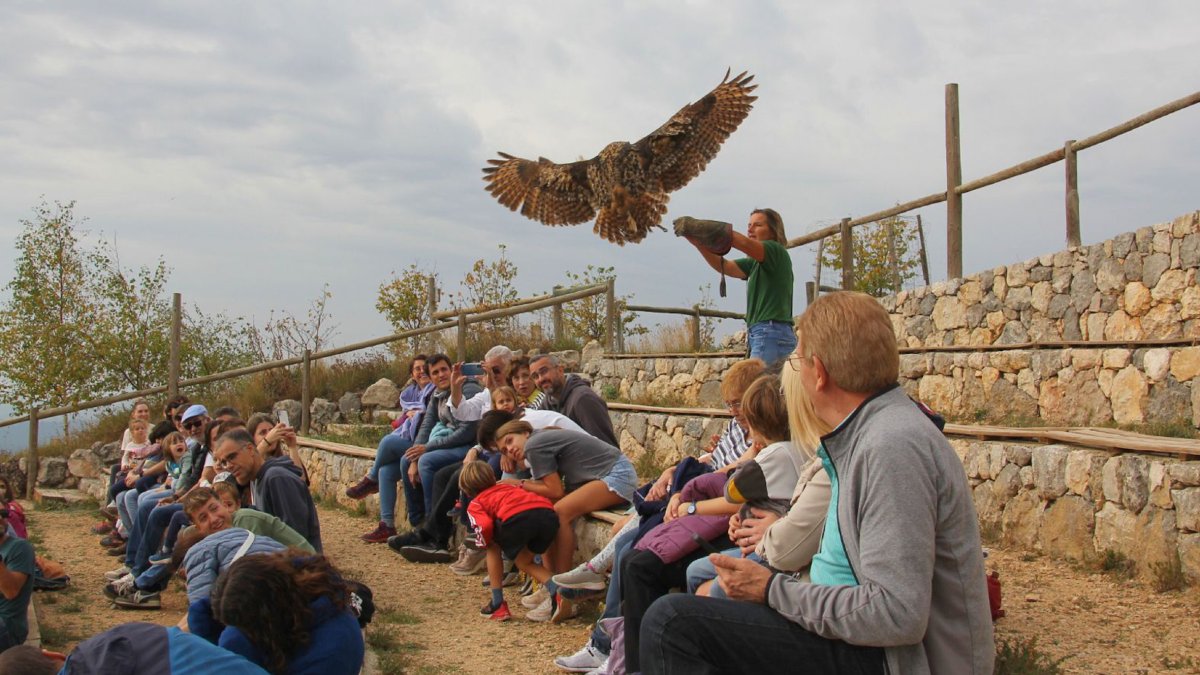 Una de les activitats amb visitants al Zoo del Pirineu.