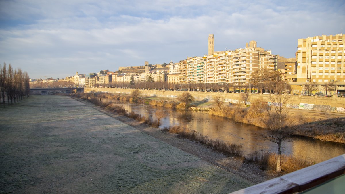 El riu Segre al seu pas per la Lleida aquest hivern.