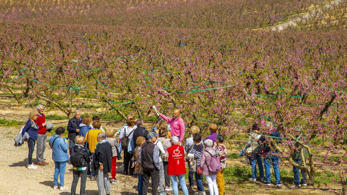 Visitants van recórrer ahir els camps florits a Aitona.