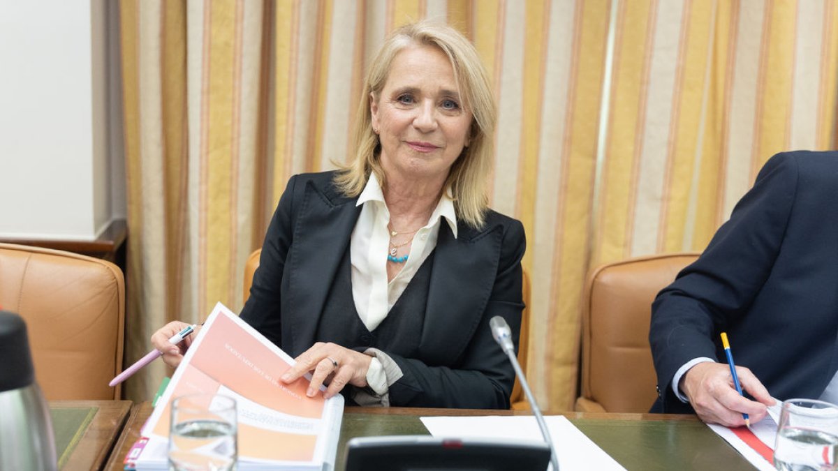 La fins ara presidenta de RTVE, Elena Sánchez, al Congrés.