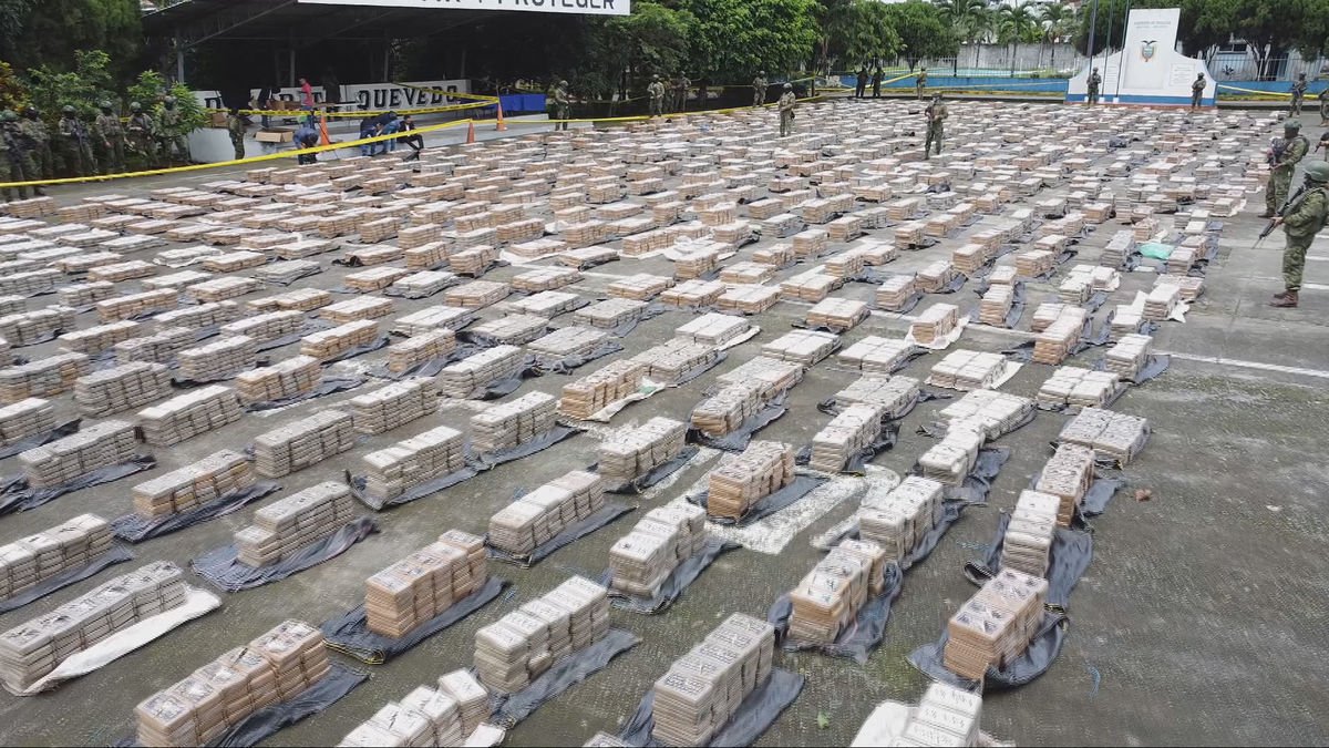 Centenars de farcells de droga confiscats per la policia en una de les seues operacions.