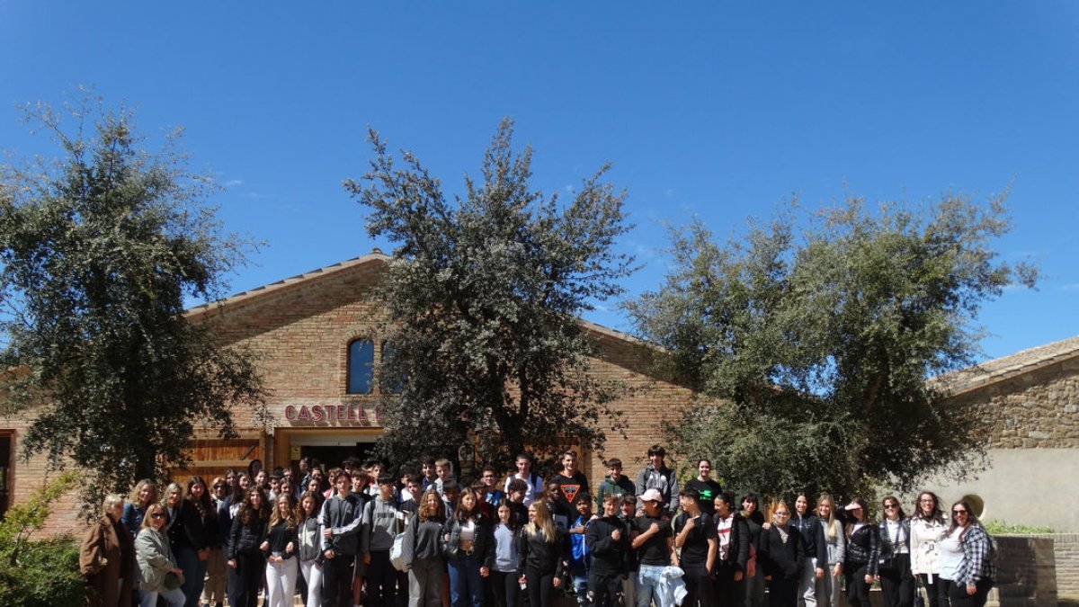 El grup de 4t d’ESO de l’institut Gili i Gaya de Lleida, dimecres passat al Castell del Remei.
