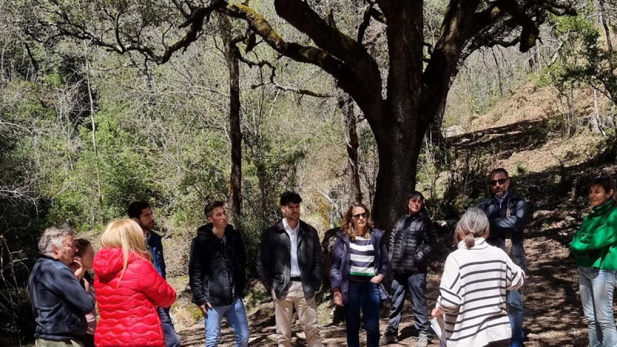 Donen a conèixer l'Associació Forestal Vall de Lord i els projectes forestals