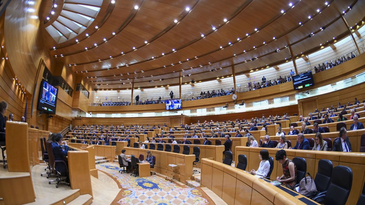Els senadors del PP aplaudint ahir després d’aprovar-se el veto a la llei d’amnistia.