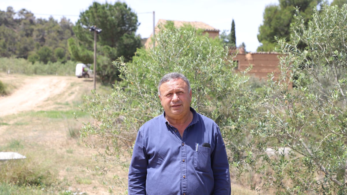 Josep Ortiz a la finca en la qual treballa i on ha instal·lat un sistema de megafonia amb altaveus per a les oliveres.