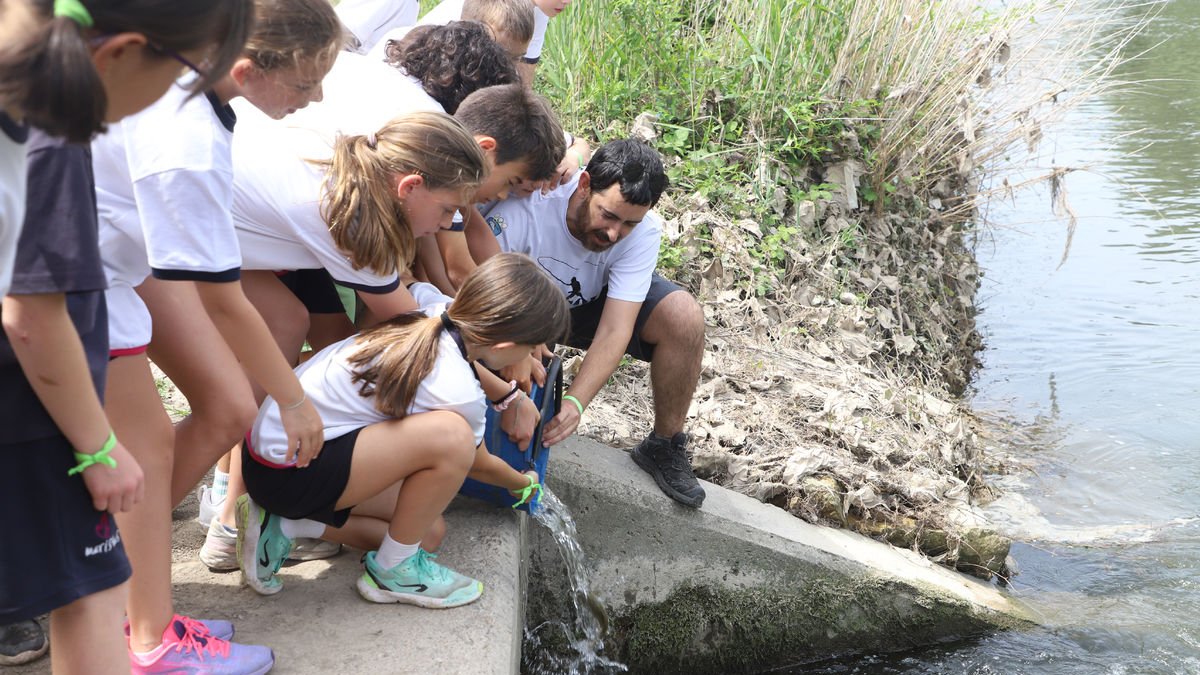 Un dels instructors ajuda un grup de voluntaris a reintroduir alguns dels alevins al riu.