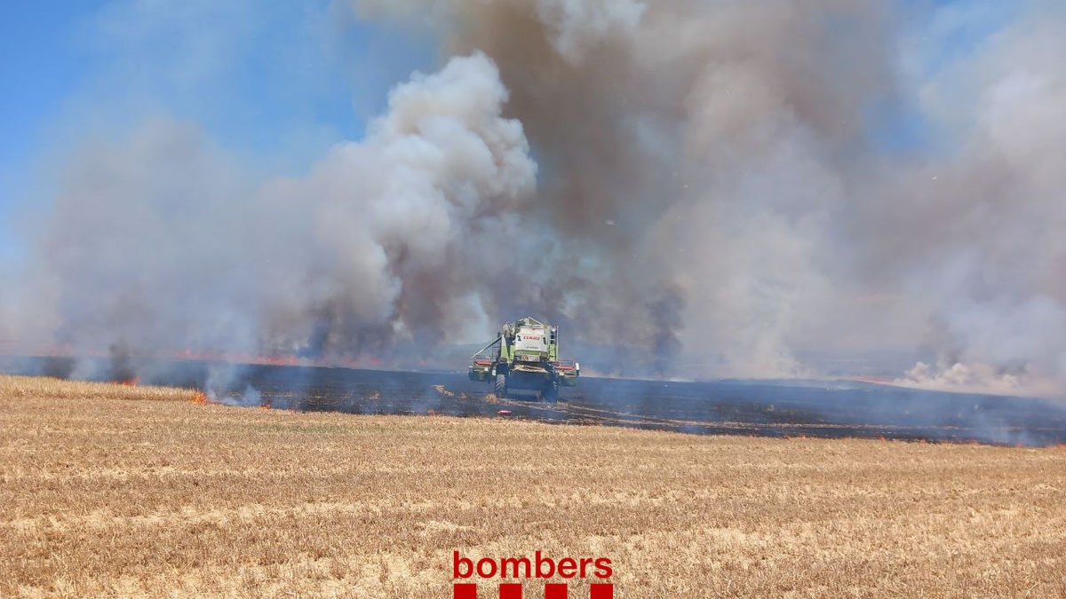 Cremen prop d'onze hectàrees de camps a Castelló de Farfanya