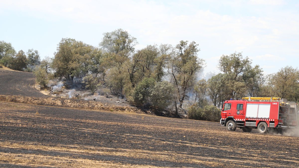 Incendi en un camp de cereal dimarts a Tudela de Segre.