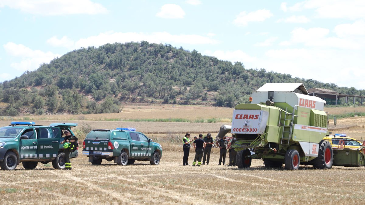 El foc de Tudela de Segre de dimarts passat i que va calcinar 11 hectàrees va ser causat per una recol·lectora.