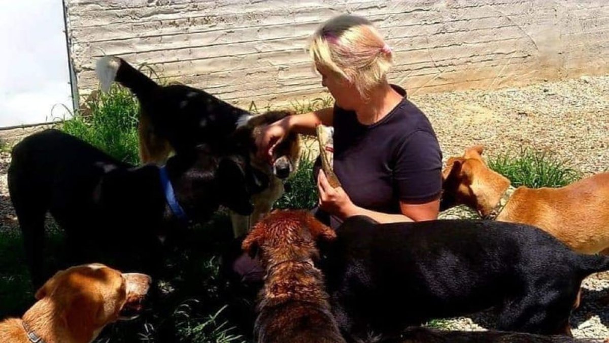 Una voluntària atén un grup de gossos a la Protectora d’Animals de Seròs.