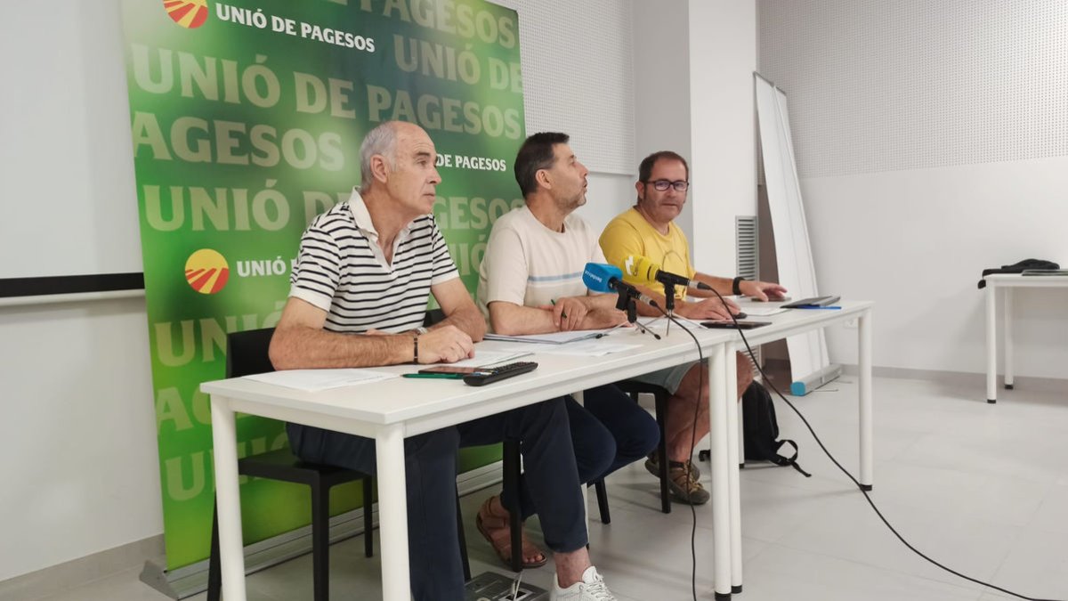 Unió de pagesos va presentar ahir el seu balanç del primer semestre del sector porcí català.