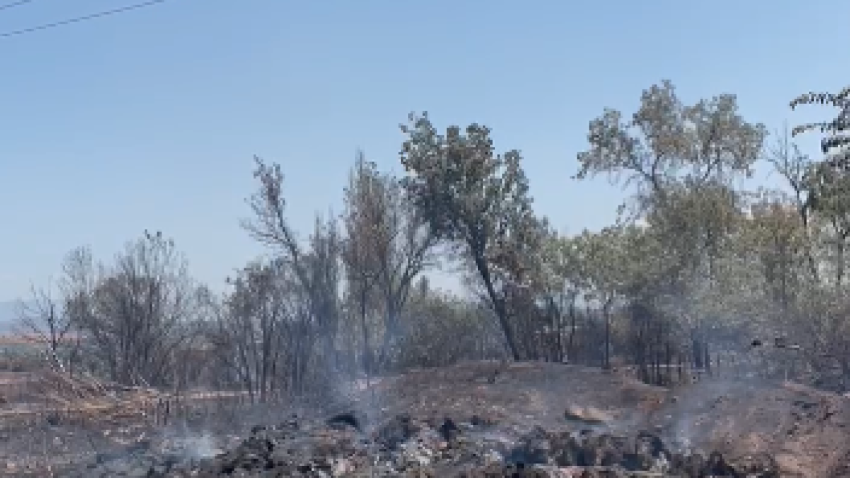 Els Bombers confien donar per controlat l'incendi de Torrefeta aquesta tarda