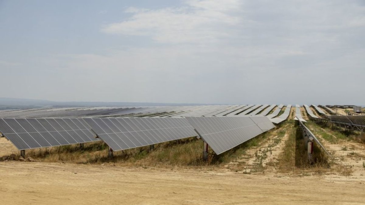 Un millar de hectáreas de riego en Lleida peligran por proyectos de plantas solares