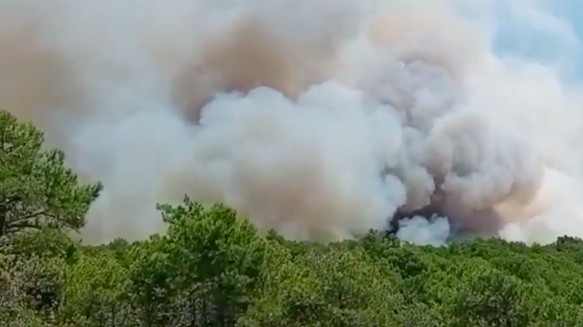 31 dotaciones de los Bombers trabajan en un incendio de vegetación agrícola en Pinell de Solsonès