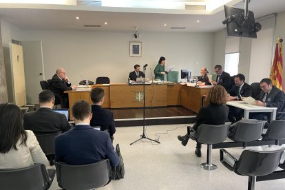 El judici s’ha celebrat al jutjat Penal 2 de Lleida. - A. GUERRERO