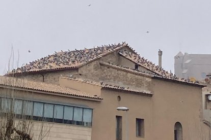 Una de les teulades del centre històric de Balaguer.