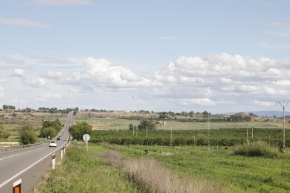 Vista de part els terrenys on és projectat el polígon de Torreblanca, que de moment són finques agrícoles.