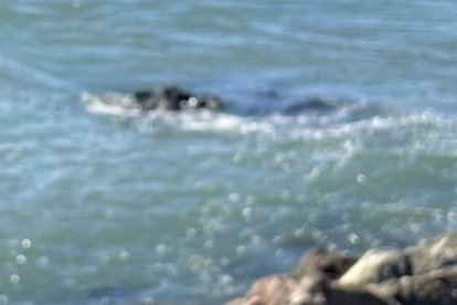 Fotografia cedida per David Meca. 25 anys després de la seua primera 'fuga' de Alcatraz.