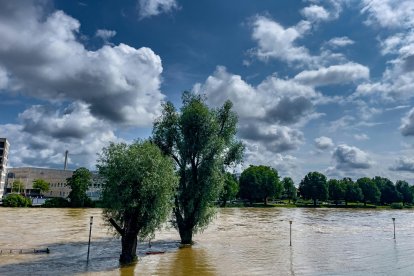 Imatge d'arxiu d'una inundació a Bonn, Alemanya.