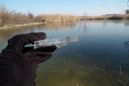 Gel en un estany de Lleida en una imatge d'arxiu.