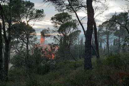 El monasterio de les Avellanes está enmarcado en un entorno natural privilegiado.