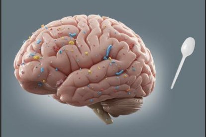 Los cerebros humanos contienen 'una cucharada' de microplásticos que dañan la salud mental