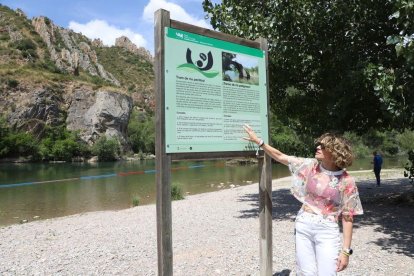 La alcaldesa, Elisabet Lizaso, delante de uno de los paneles informativos en La Platgeta. - MAGDALENA ALTISENT