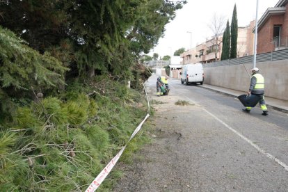 Imatges del temporal de vent a les poblacions de Lleida