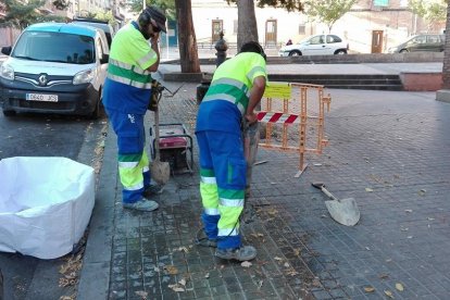 Operaris reparant ahir la fuita d’aigua a la Mariola.