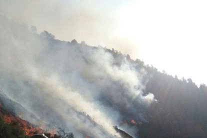 Bombers treballant en les tasques d'extinció de l'incendi.