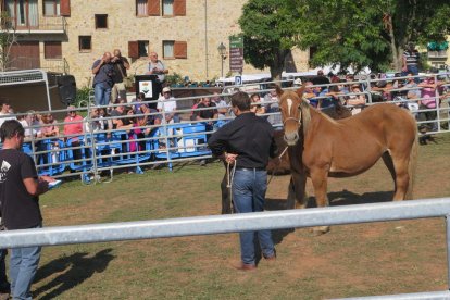 El concurs de cavalls del Pirineu.