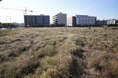 Vista de la zona donde Leroy Merlin prevé abrir un establecimiento de más de 8.000 metros cuadrados.