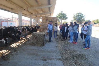 Una de les classes de l’Institut Mollerussa amb els alumnes del cicle de formació professional.