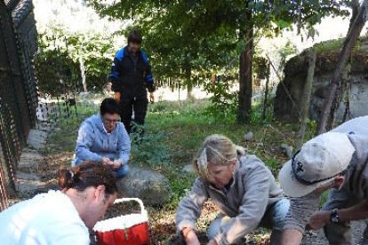 Veterinaris al recinte dels óssos, on van sedar els animals per traslladar-los al vehicle.