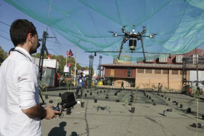 Un expert pilotant ahir a Sant Miquel el dron equipat amb un dipòsit que permet fumigar cultius.