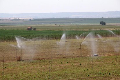 Una finca regada a l’àrea de l’Algerri-Balaguer.